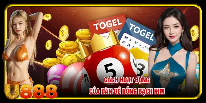 Cách hoạt động của dàn đề rồng bạch kim