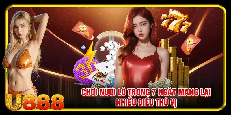 Chơi nuôi lô trong 7 ngày mang lại nhiều điều thú vị