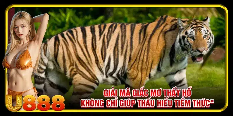 Giải mã giấc mơ thấy hổ không chỉ giúp thấu hiểu tiềm thức