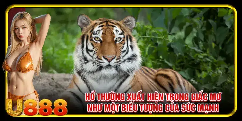 Hổ thường xuất hiện trong giấc mơ như một biểu tượng của sức mạnh