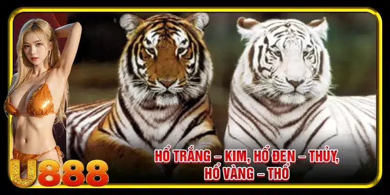 Hổ trắng – Kim, Hổ đen – Thủy, Hổ vàng – Thổ
