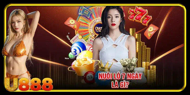 Nuôi lô 7 ngày là gì?