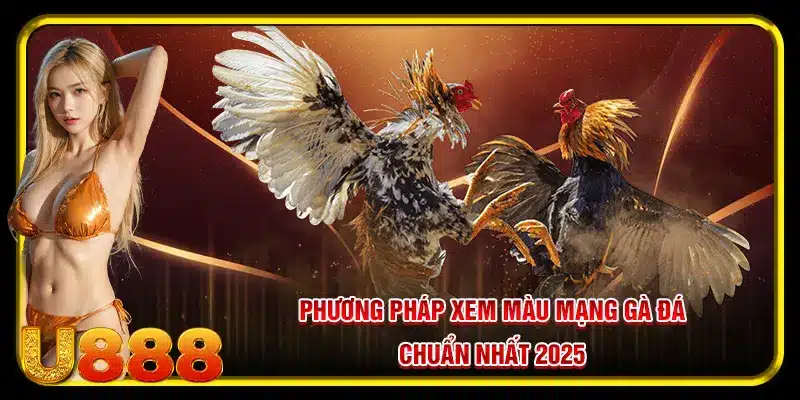 Phương pháp xem màu mạng gà đá chuẩn nhất 2025