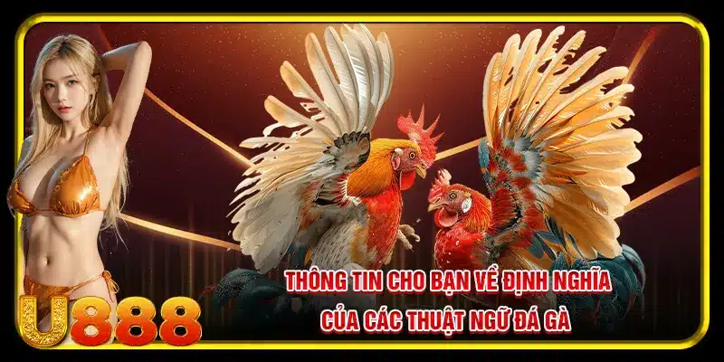 Thông tin cho bạn về định nghĩa của các thuật ngữ đá gà