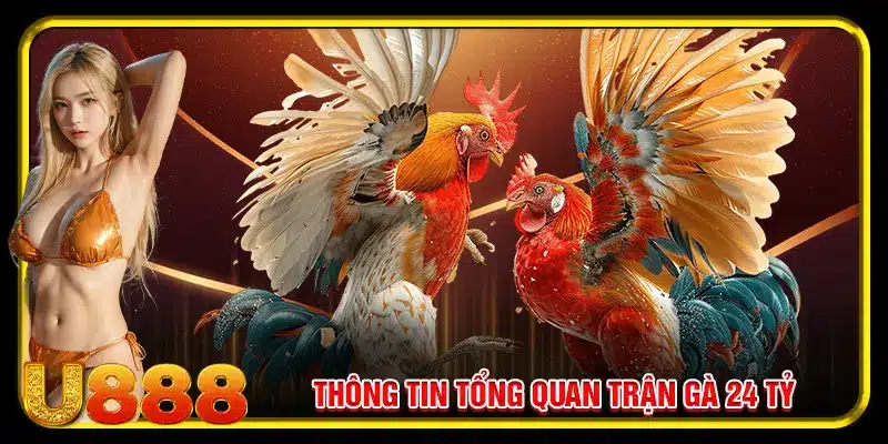 Thông tin tổng quan trận gà 24 tỷ