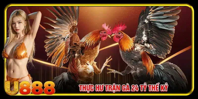 Thực hư trận gà 24 tỷ thế kỷ