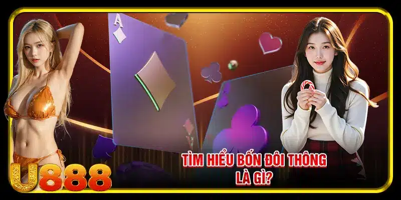 Tìm hiểu bốn đôi thông là gì?