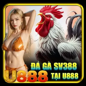 đá gà sv388 tại U888