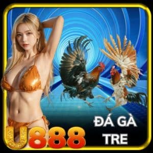 Đá gà tre