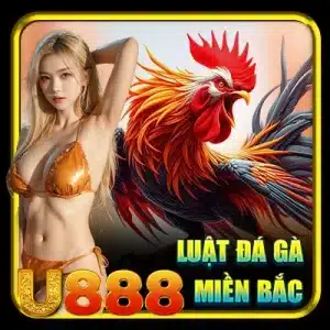Luật đá gà miền Bắc