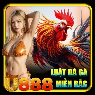 Luật đá gà miền Bắc