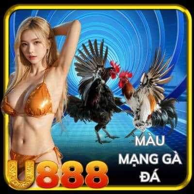Hướng dẫn để xem màu mạng gà đá trong năm 2025