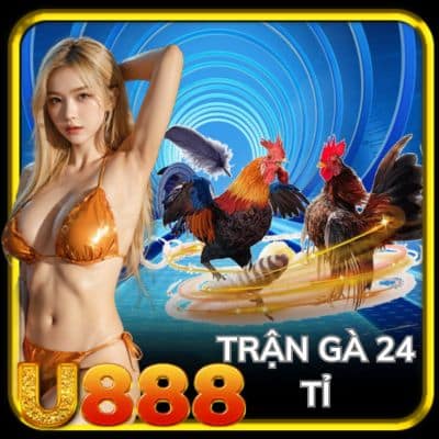 trận gà 24 tỷ